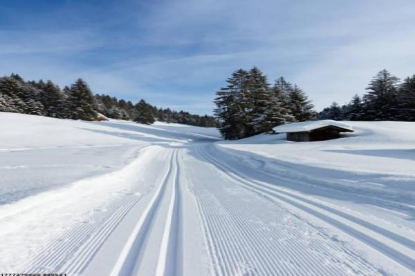 数字化体育项目发展模式探讨(图1)